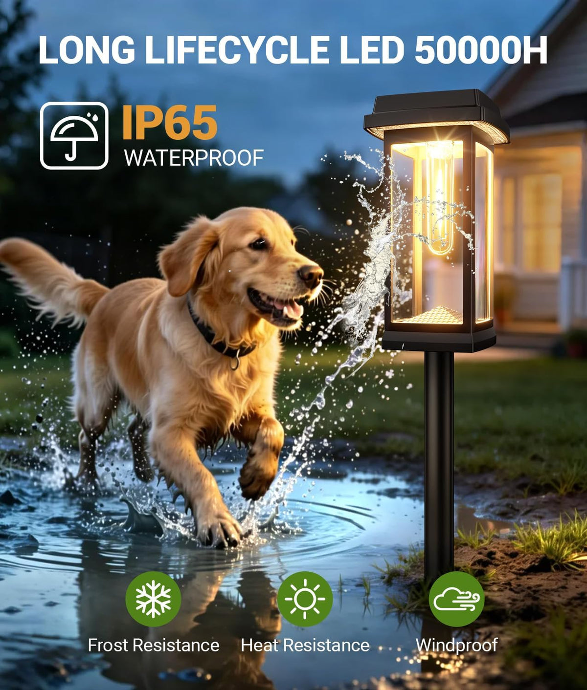 Solar Pathway Lights Outdoor | Waterproof Garden Lights with Warm White LED MY MODERN MART