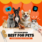 Steam Pet Grooming Brush – Rechargeable Deshedding Comb for Cats & Dogs