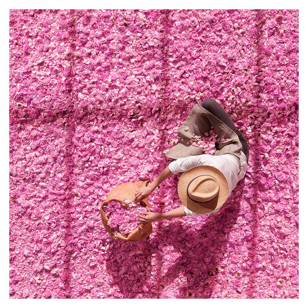 Dior Miss Dior Eau de Parfum for Women – Rose Floral Fragrance MY MODERN MART
