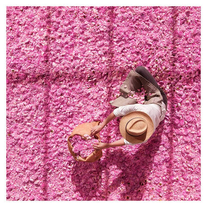 Dior Miss Dior Eau de Parfum for Women – Rose Floral Fragrance MY MODERN MART